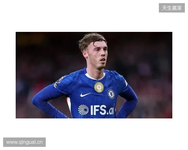 帕尔默：此前连输四场滋味并不好，赢维尔港让大家重拾好心情